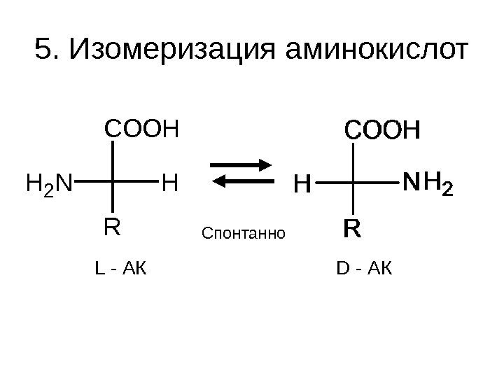   5. Изомеризация аминокислот. COOH R HH 2 N L - АК D