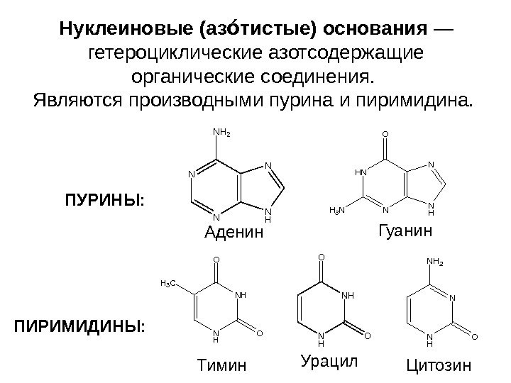   Нуклеиновые (аз тистые) основанияоо — гетероциклические азотсодержащие органические соединения.  Являются производными