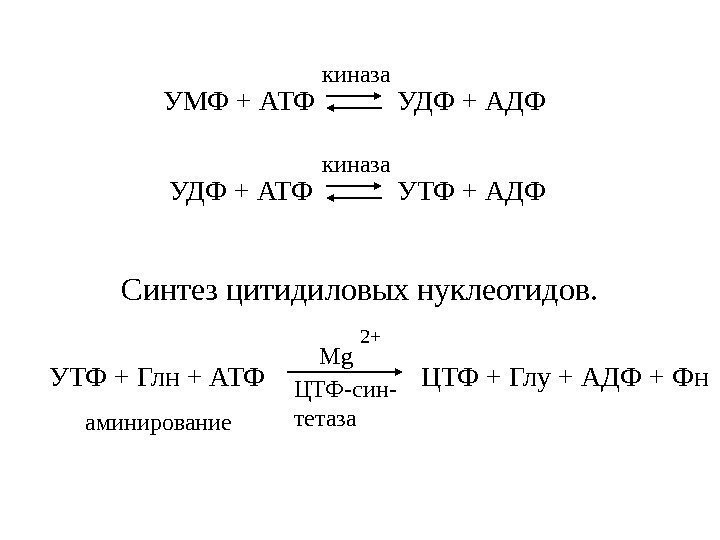   УМФ + АТФ  УДФ + АДФкиназа УДФ + АТФ  УТФ