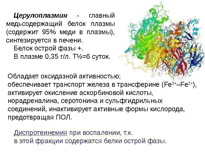 Церулоплазмин  - главный медьсодержащий белок плазмы (содержит 95 меди в плазмы),  синтезируется