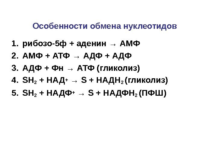 Особенности обмена нуклеотидов 1. рибозо-5 ф + аденин → АМФ 2. АМФ + АТФ