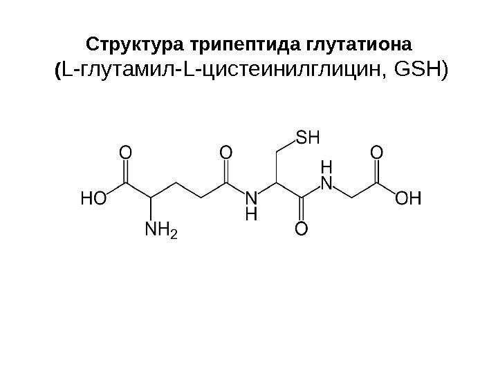 Структура трипептида глутатиона ( L -глутамил- L- цистеинилглицин,  GSH ) 