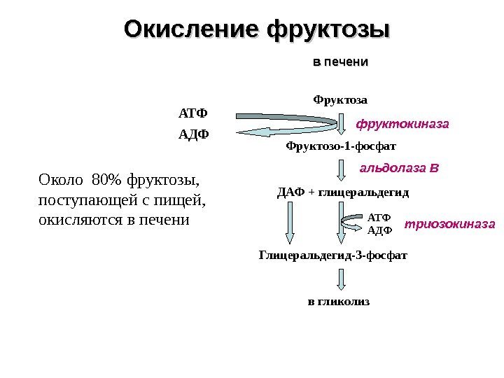 Окисление фруктозы Фруктоза Фруктозо-1 -фосфат ДАФ + глицеральдегид в печени Глицеральдегид-3 -фосфат  в