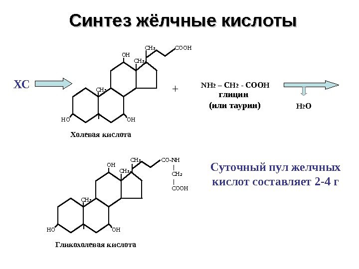 Синтез жёлчные кислоты ОННО ОН СН 3 СООН Холевая кислота NH 2 – CH