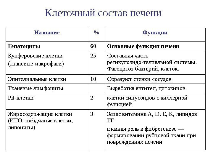 Клеточный состав печени Название  Функции Гепатоциты 60 Основные функции печени Купферовские клетки (тканевые