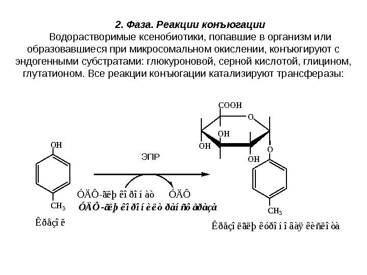 2. Фаза. Реакции конъюгации Водорастворимые ксенобиотики, попавшие в организм или образовавшиеся при микросомальном окислении,