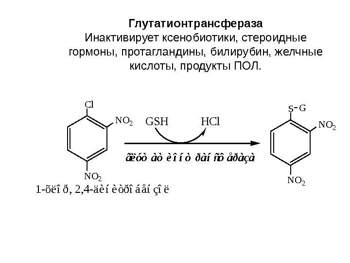 Cl GSH  HCl 1 -õëîð, 2, 4 -äèíèòðîáåíçîë ãëóòàòèîíòðàíñôåðàçà NO 2 S NO