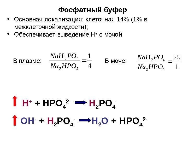   Фосфатный буфер4 1 42 42 HPONa. H • Основная локализация: клеточная 14