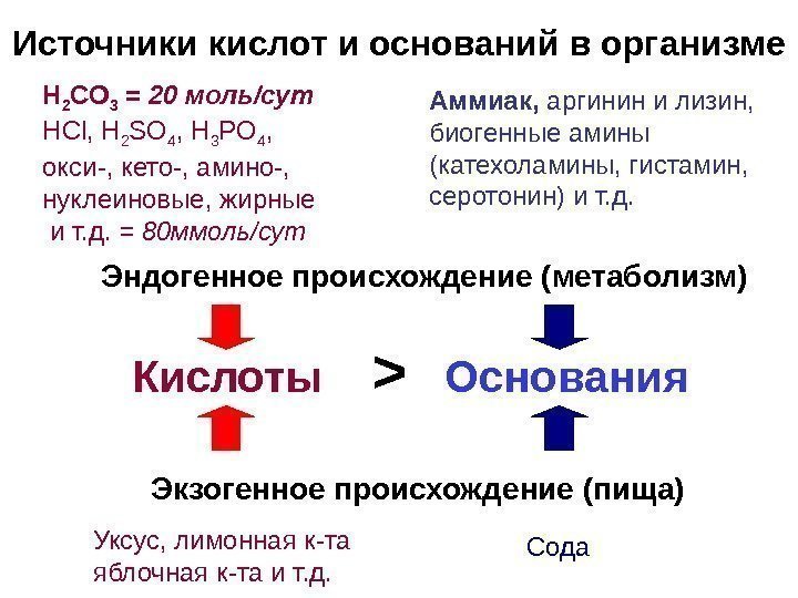   Источники кислот и оснований в организме Кислоты  Основания Экзогенное происхождение (пища)Эндогенное