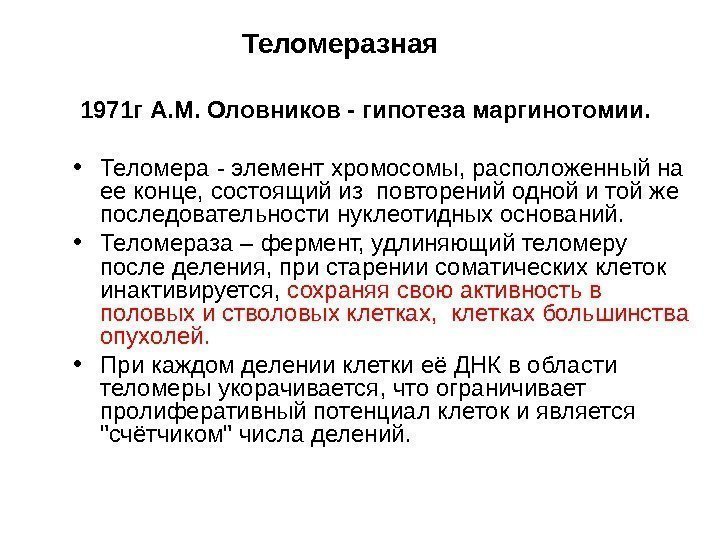   Теломеразная 1971 г А. М. Оловников - гипотеза маргинотомии. • Теломера -