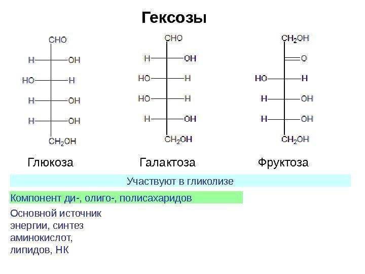 Гексозы Галактоза. Глюкоза Фруктоза Участвуют в гликолизе Компонент ди-, олиго-, полисахаридов Основной источник энергии,