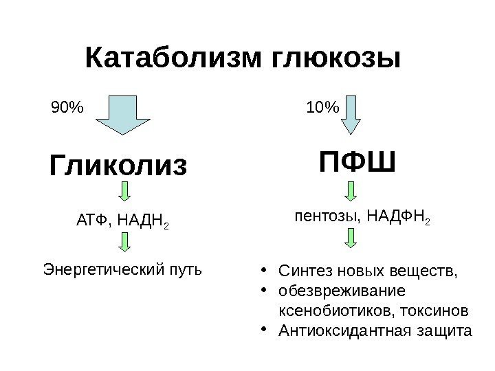 Катаболизм глюкозы Гликолиз ПФШ Энергетический путь • Синтез новых веществ,  • обезвреживание ксенобиотиков,