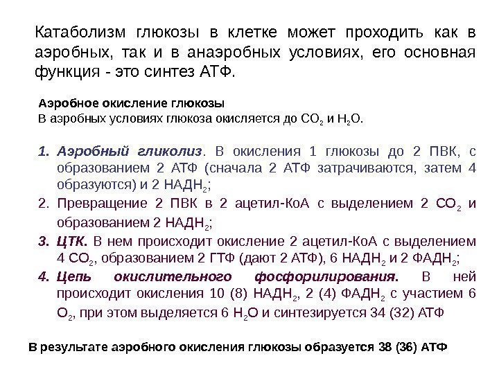 Катаболизм глюкозы в клетке может проходить как в аэробных,  так и в анаэробных