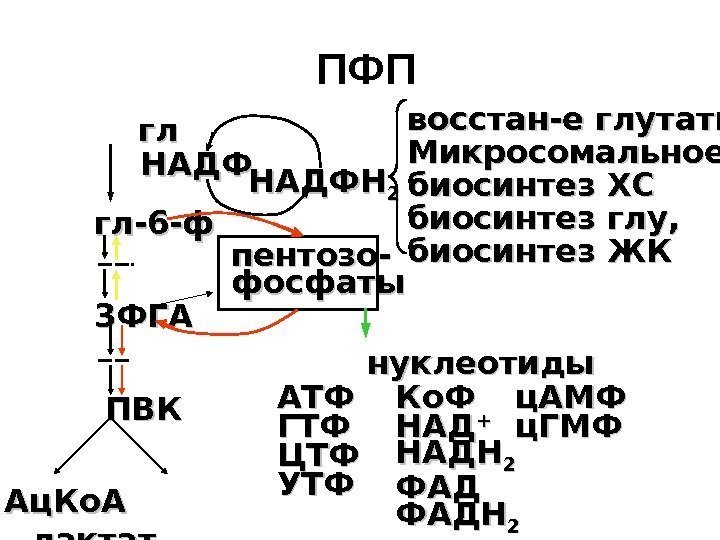  ПФП     глгл   гл-6 -ф   3