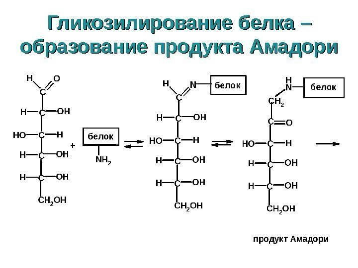 Гликозилирование белка – образование продукта Амадори 