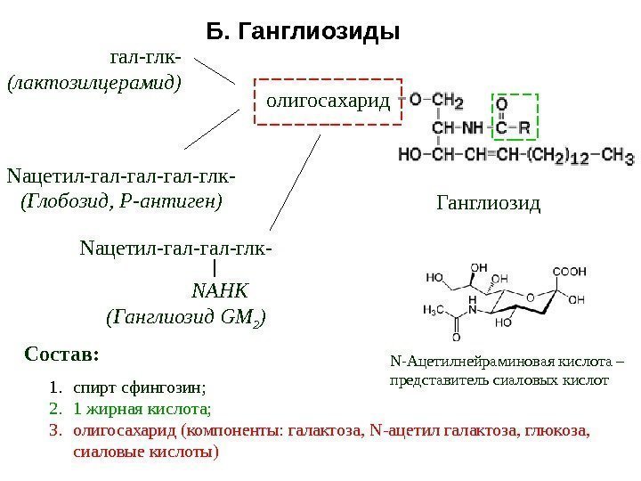 1. спирт сфингозин; 2. 1 жирная кислота; 3. олигосахарид (компоненты: галактоза,  N- ацетил