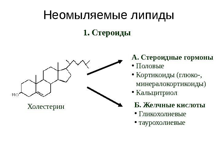 Неомыляемые липиды Холестерин 1. Стероиды А. Стероидные гормоны • Половые • Кортикоиды (глюко-, 