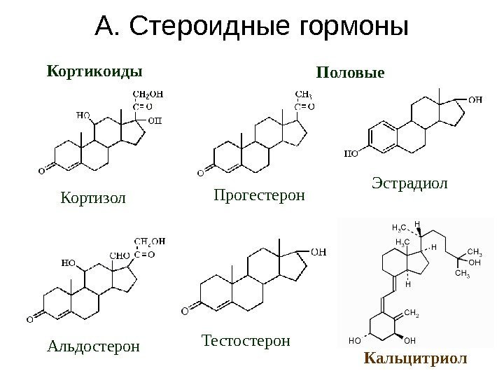 А. Стероидные гормоны Альдостерон. Кортикоиды Половые Кортизол Прогестерон Тестостерон Эстрадиол Кальцитриол 