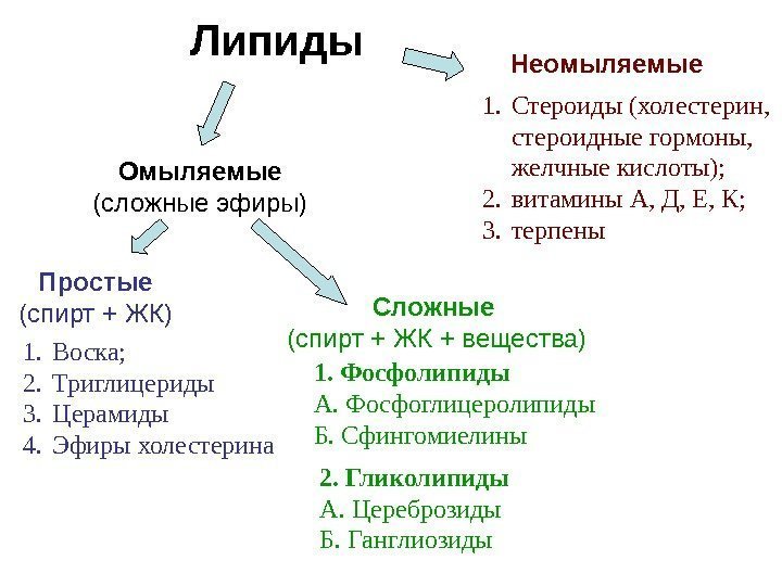 Липиды Омыляемые  (сложные эфиры) Неомыляемые Простые (спирт + ЖК) Сложные (спирт + ЖК