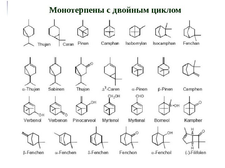 Монотерпены с двойным циклом 