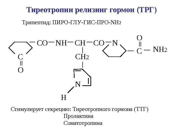Тиреотропин релизинг гормон (ТРГ) Трипептид: ПИРО-ГЛУ-ГИС-ПРО-NH 2 C O CO  NH  CO