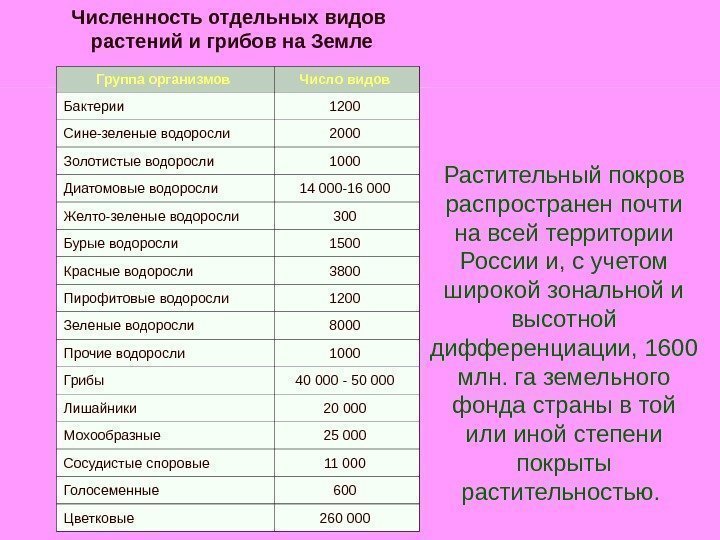 Численность отдельных видов растений и грибов на Земле Группа организмов  Число видов 