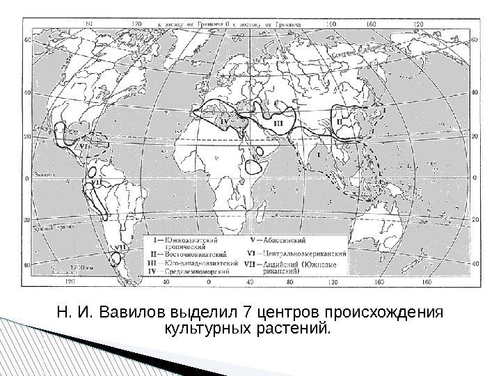 Сравните карту с рисунком 14 с какими областями совпадают центры происхождения культурных растений