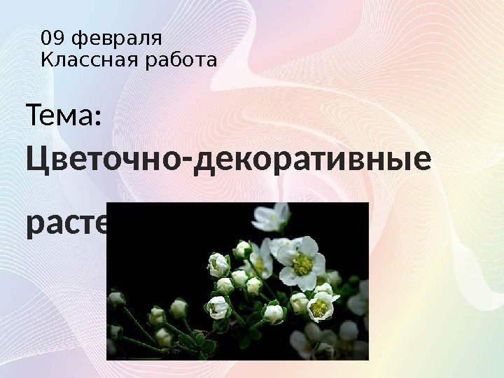 09 февраля Классная работа Тема:  Цветочно-декоративные растения. 