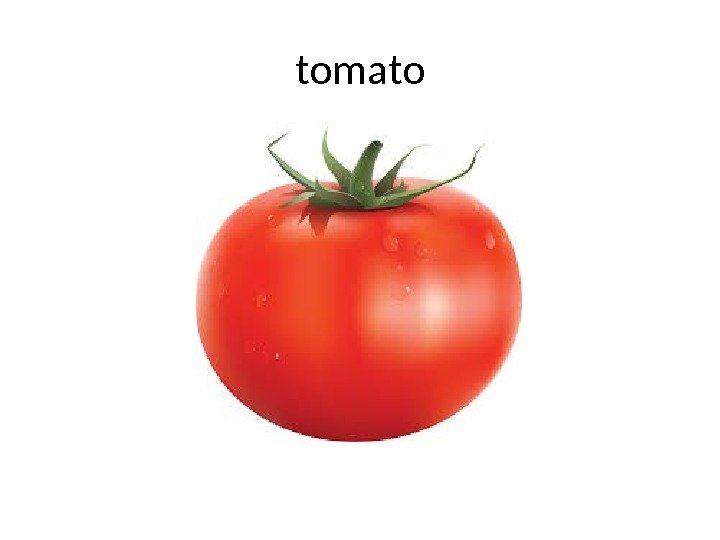tomato 