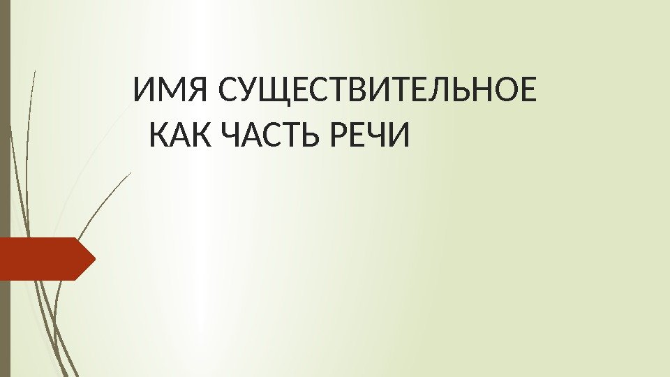 ИМЯ СУЩЕСТВИТЕЛЬНОЕ  КАК ЧАСТЬ РЕЧИ   