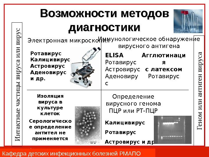 Возможности методов диагностики Электронная микроскопия Ротавирус Калицивирус Астровирус Аденовирус и др. Иммунологическое обнаружение вирусного