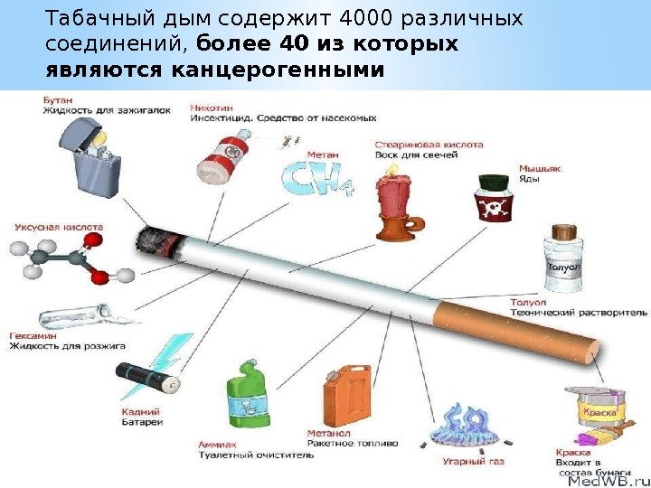 Табачный дым содержит 4000 различных соединений,  более 40 из которых являются канцерогенными 