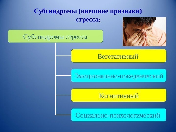 Субсиндромы (внешние признаки) стресса : : Субсиндромы стресса Вегетативный Когнитивный Социально-психологический Эмоционально-поведенческий 