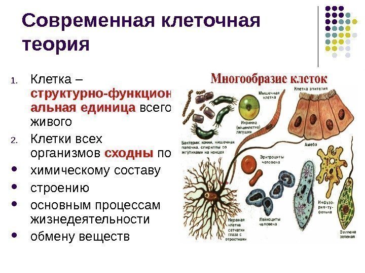 Основные понятия и принципы