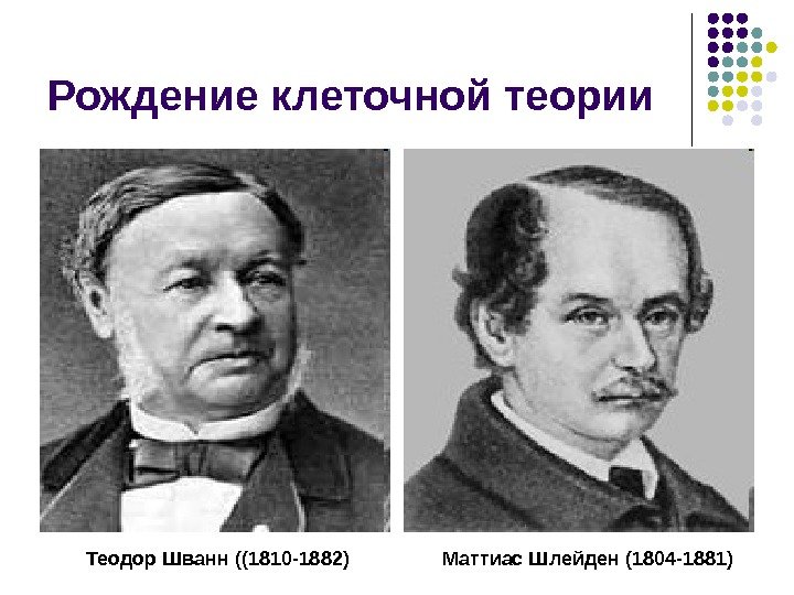 Рождение клеточной теории Теодор Шванн ((1810 -1882)  Маттиас Шлейден (1804 -1881) 