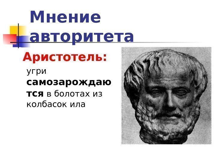   Мнение авторитета Аристотель:  угри самозарождаю тся в болотах из колбасок ила