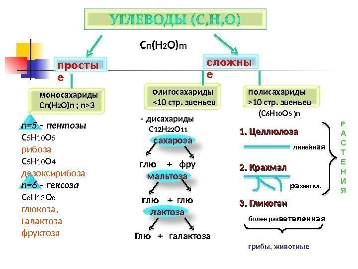Какие органические соединения называют углеводами