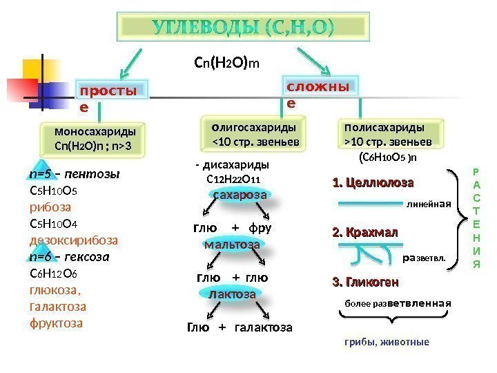 Органические вещества углеводы и белки