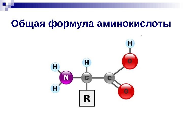   Общая формула аминокислоты 