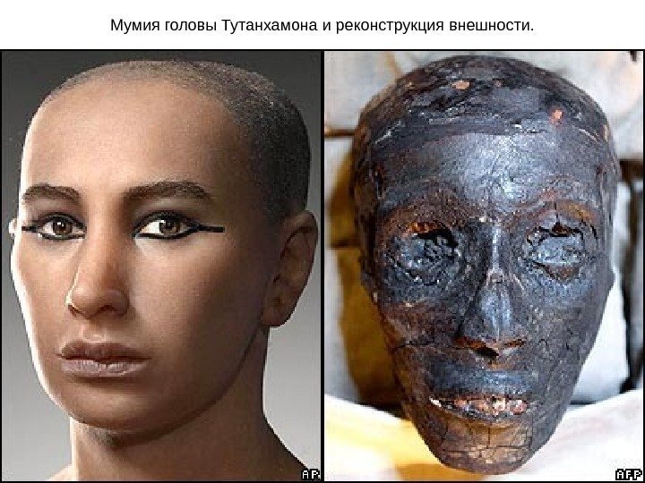 Мумия головы Тутанхамона и реконструкция внешности. 