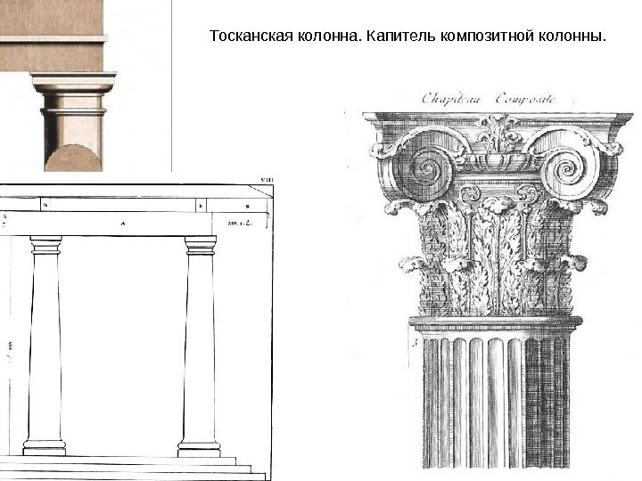 Тосканская колонна. Капитель композитной колонны. 