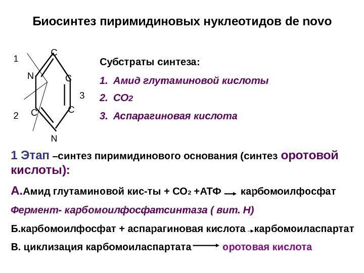 Биосинтез пиримидиновых нуклеотидов de novo N  N C C 1 2 3 Субстраты