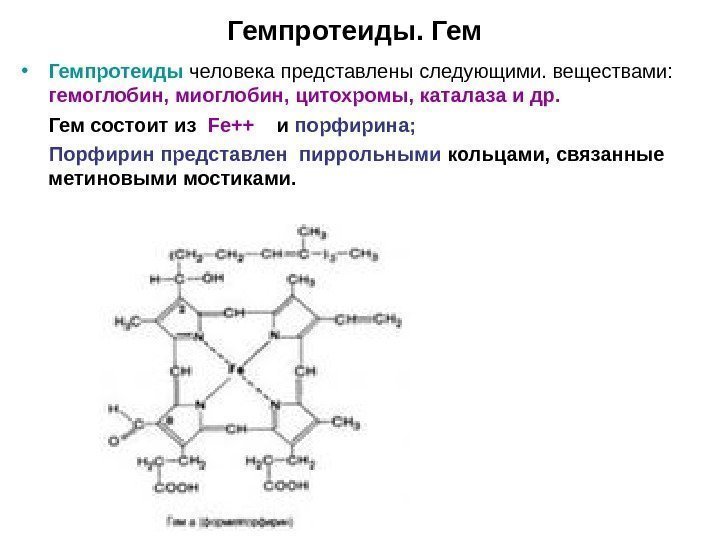 Гемпротеиды. Гем • Гемпротеиды человека представлены следующими. веществами:  гемоглобин, миоглобин, цитохромы, каталаза и