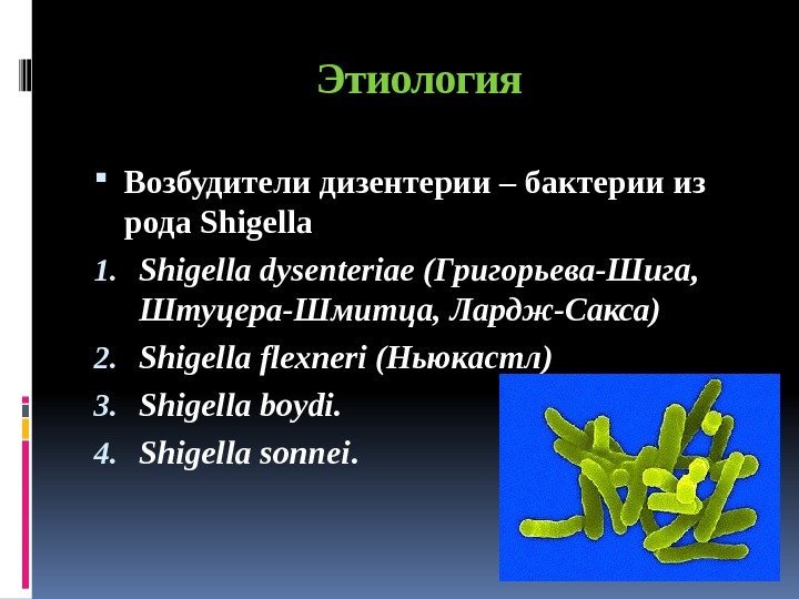 Этиология Возбудители дизентерии – бактерии из рода Shigella  1. Shigella dysenteriae (Григорьева-Шига, 