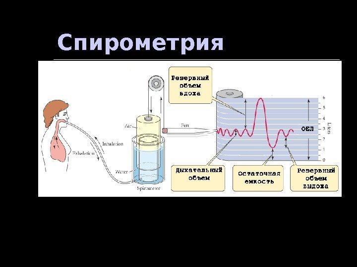 Определение жизненной емкости легких спирометрия. Спирометрия. Спирометрия физиология. Динамическая спирометрия. Спирометрия статическая и динамическая.