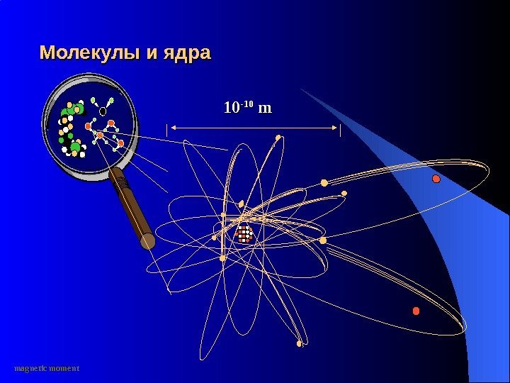 Молекулы и ядра 1010 -10 -10 m m magnetic moment 