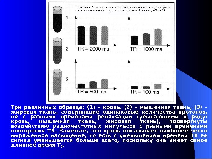 Три различных образца:  (1) – кровь,  (2) – мышечная ткань,  (3)