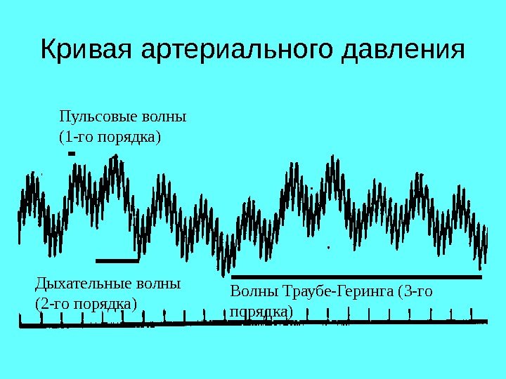 Кривая артериального давления Пульсовые волны (1 -го порядка) Дыхательные волны  (2 -го порядка)