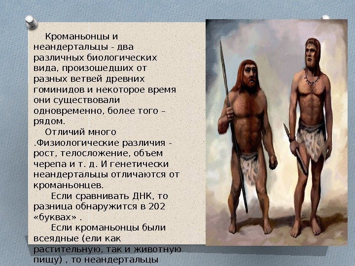  Кроманьонцы и неандертальцы - два различных биологических вида, произошедших от разных ветвей древних