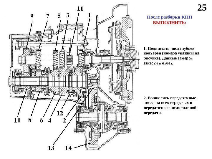 25 После разборки КПП ВЫПОЛНИТЬ: 1. Подсчитать числа зубьев шестерен (номера указаны на рисунке).